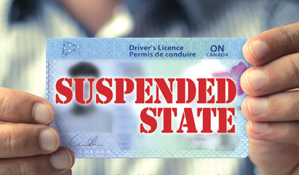 Ontario Drivers License 