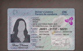 Ontario drivers license 